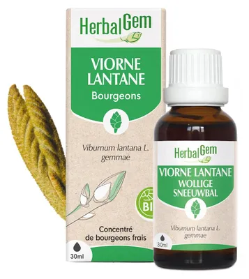Productafbeelding van Herbalgem - Vlierbessenknopjes (Lantana) - Biologisch - 30 ml