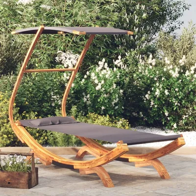 Produktbild von The Living Store Loungebett mit Dach 100x190x134 cm Bugholz Massiv Anthrazit