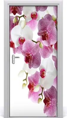 Produktbild von Tulup Türaufkleber 95x205 cm Dekorative Aufkleber Selbstklebend Wasserdichte Tapete Abnehmbar Schlafzimmer Wohnzimmer Wohnkultur - Orchidee