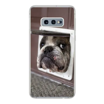 Produktbild von MuchoWow® Handyhülle Schutzhülle Hülle für Samsung Galaxy S10e Hund - Lustig - Katzenklappe - Kinder - Jungen - Mädchen - Kinder Silikon Softcase Handy Hülle - Handy