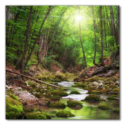 Produktbild von Wallario selbstklebende Möbelfolie/ Tischdecke für Innen und Außen, Größe: 50 x 50 cm - Fluss im Wald