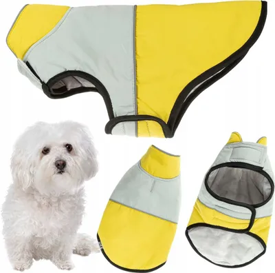 Produktbild von Hundewintermantel mit Reflektor isoliert, Jacke mit Klettverschluss M