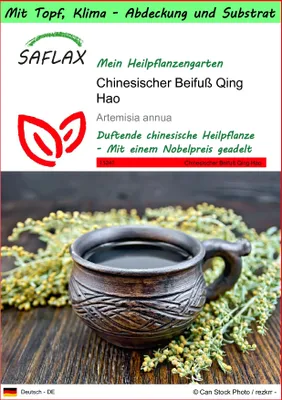 Produktbild von SAFLAX Garden to go - Chinesischer Beifuß Qing Hao - Artemisia annua - 250 Samen - Mit Topf, Klima - Deckel und Anzuchtsubstrat