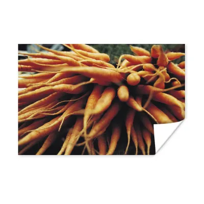 Produktbild von Poster - Nahaufnahme eines Wurzelhaufens - 120x80 cm