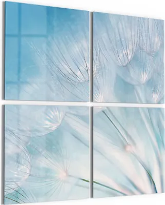 Produktbild von DEQORI Glasbild Echtglas 4x50x50 cm 'Blühender Löwenzahn' Wandbilder XXL groß