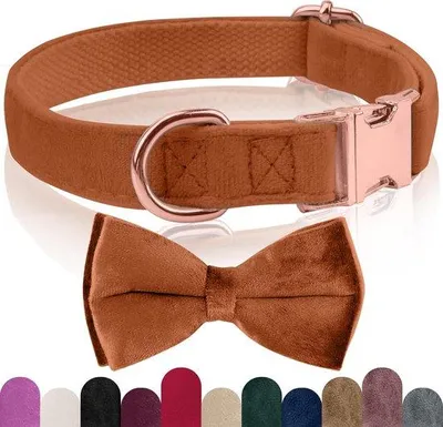 Image de Collier pour chien noir réglable avec boucle de sécurité amovible, adapté aux chiens de toutes tailles.