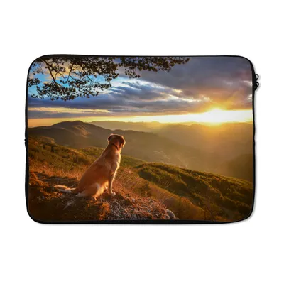 Produktbild von MuchoWow® Laptop Hülle 14 ZollEin Golden Retriever beobachtet den Sonnenuntergang Laptoptasche - Laptoptasche - Stoßsicher - Schutzhaube