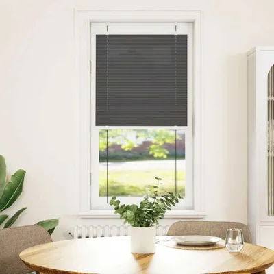 Produktbild von vidaXL Plissee Schwarz 55x100 cm Stoffbreite 54,4 cm Polyester