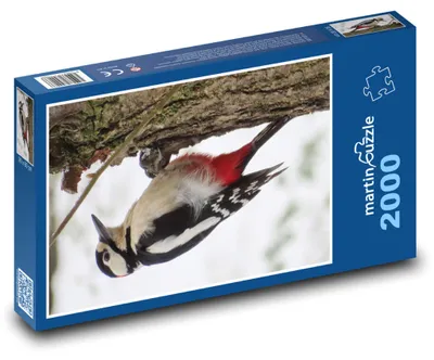 Obrázek produktu pro martinpuzzle - Puzzle 2000 - Strakapoud velký