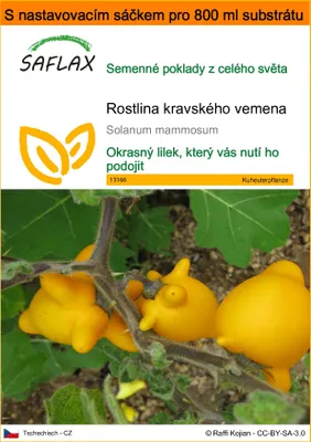 Obrázek produktu pro SAFLAX Garden in the bag - rostlina kravského vemena - Solanum mammosum - 10 Semena - S pěstebním substrátem v praktickém samovztyčovacím sáčku