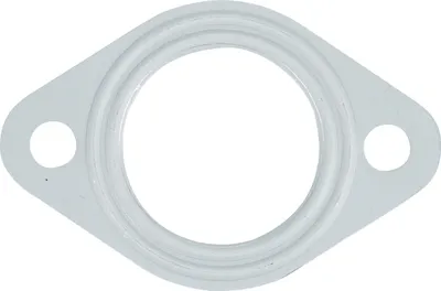 Obrázek produktu pro Těsnění výfuku 60630269