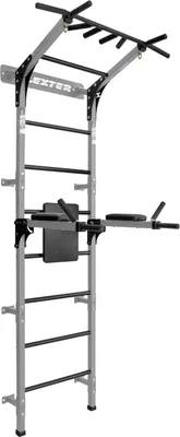 Obrázok produktu pre Nástenné bradlá Levron gymnastický rebrík max. 250 kg sivá