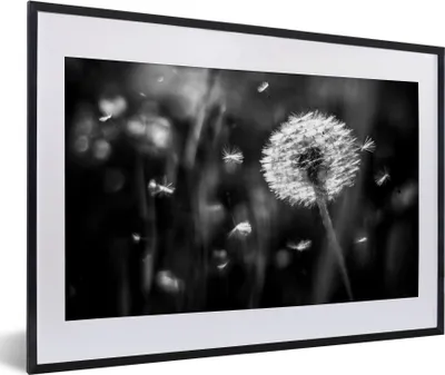 Produktbild von MuchoWow® Gerahmtes Poster Löwenzahn - Schwarz - Weiß - Pflanze 60x40 cm - Poster mit Schwarzem Bilderrahmen Wandposter Rahmen Foto Bilder - Schlafzimmer - Plakat in Rahmen - Drucken