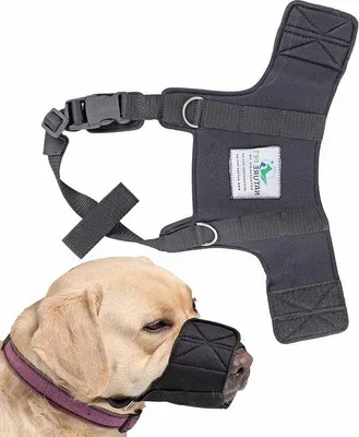 Immagine prodotto di Museruola morbida in neoprene - taglia S per cani da compagnia