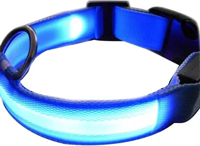 Productafbeelding van CHPN - LED-halsband - Hondenhalsband - Halsband - Blauw - Maat L - 45-52 cm - Halsband voor dieren - Halsband - 2 stuks