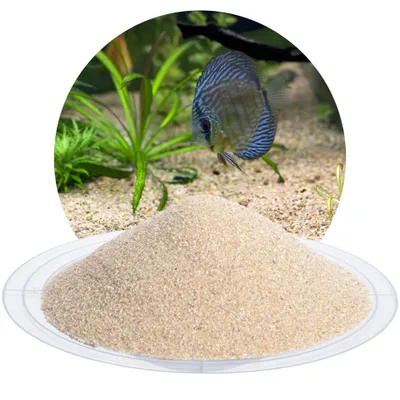 A pile of beige aquarium sand in the foreground, with a circular image of an aquarium scene with a discus fish and aquatic plants in the background.