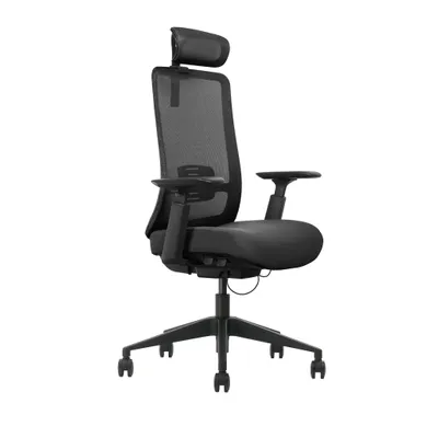 Obrázok produktu pre Ergonomická kancelárska stolička QUINN, čierna s opierkou hlavy, 120 kg nosnosť, nastaviteľná stolička