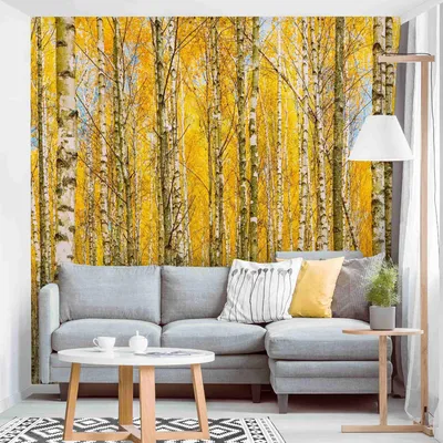 Produktbild von Fototapete Wald - Vliestapete - Bildtapete UV-beständig Design gelb Wandtapete geruchsfrei