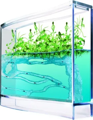 Zdjęcie produktu dla Super Ants Antquarium