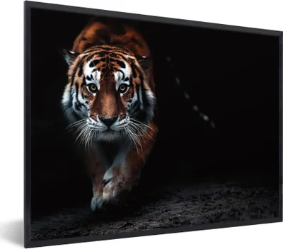 Produktbild von MuchoWow® Gerahmtes Poster Tiere - Tiger - Schwarz - Wild - Porträt 80x60 cm - Poster mit Schwarzem Bilderrahmen Wandposter Rahmen Foto Bilder - Schwarzem - Mit Gestell
