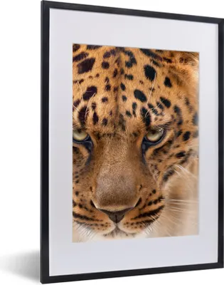Produktbild von MuchoWow® Gerahmtes Poster Leopard - Porträt - Gesicht 30x40 cm - Poster mit Schwarzem Bilderrahmen Wandposter Rahmen Foto Bilder - Wandposter Schlafzimmer