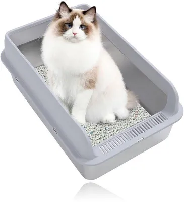 Image de Grande cage pour chat en acier inoxydable avec rebord haut et couvercle