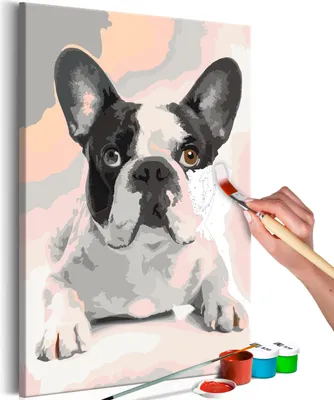 Immagine prodotto di Pittura con i numeri Cane Bulldog 40x50 cm Set di pittura con cornice in legno su tela per adulti Bambini Dipinti a mano Kit fai da te