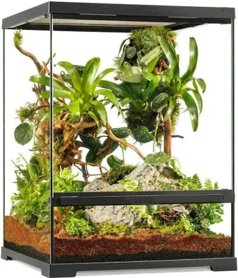 Produktbild von Exo Terra Pro Terrarium S Tall Terrarium 45x45x60cm Grün 45x45x60 cm Grün 45x45x60 cm