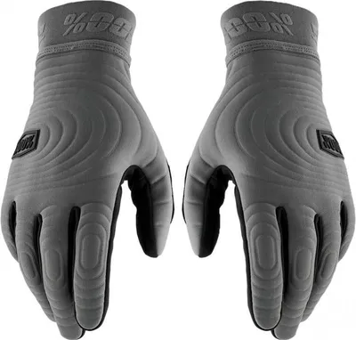 Produktbild von 100% SPEEDLAB Langfinger-Fahrradhandschuhe - BRISKER XTREME - Grau L