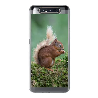 Produktbild von MuchoWow® Handyhülle Schutzhülle Hülle für Samsung Galaxy A80 Eichhörnchen - Wald - Moos Silikon Softcase Handy Hülle - Schutzdeckel