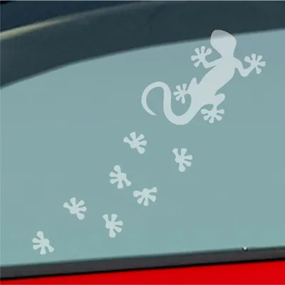 Produktbild von Auto Aufkleber Salamander Agame Echse Lizard Fußspuren 20x6 cm Milchglas Sticker Heckscheibenaufkleber