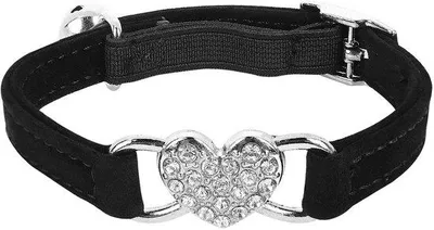 Produktbild von Verstellbares Halsband für Katzen und kleine Hunde - Schwarz - Sicherheitsgurt - inklusive Klettverschluss