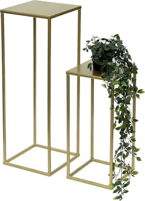 Two gold metal plant stands of different heights, with a trailing green plant on the shorter stand.