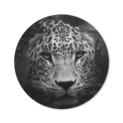 Produktbild von MuchoWow® Mauspad Mousepad Tiere - Panther - Dschungel - Schwarz - Weiß 20x20 cm - Mousepads - Maus Mat - Pad - Mausunterlage - Schreibtischmatte