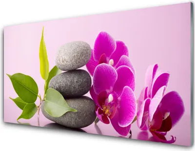 Produktbild von Acrylglasbilder 100x50 Wandbild Druck Blumen Steine Blätter Pflanzen