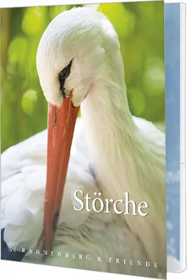 Produktbild von Postkartenbuch Störche Postkartenbücher Ansichtskarte Postkarte, Storch