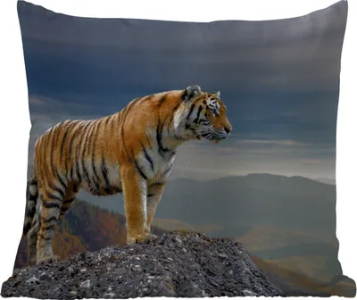 Produktbild von MuchoWow® Outdoor Kissen - Tiger - Berg - Natur - Landschaft - 45x45 cm - Wetterfest - Lounge Kissen - Fotokissen - Dekoratives Kissen