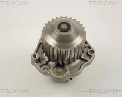 Produktbild von TRISCAN Wasserpumpe 8600 10020