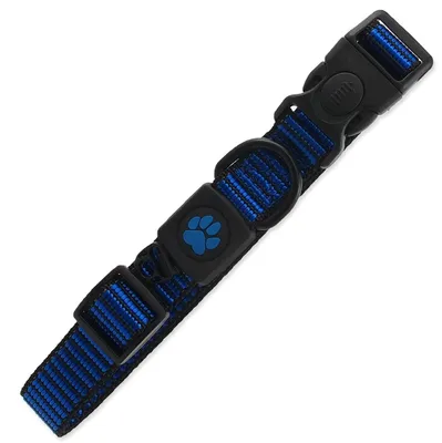 Obrázok produktu pre Obojok DOG Strong modrý L 1 ks