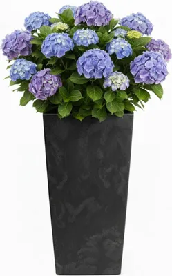 Immagine prodotto di HowHomely | Fioriera - Vaso per piante - Nero - L40xH75 cm - Coprivaso - Struttura in cemento - Decorativo