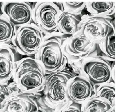 Produktbild von Klebefolie - selbstklebende Möbelfolie Rosen grau weiss -  45 cm x 200 cm