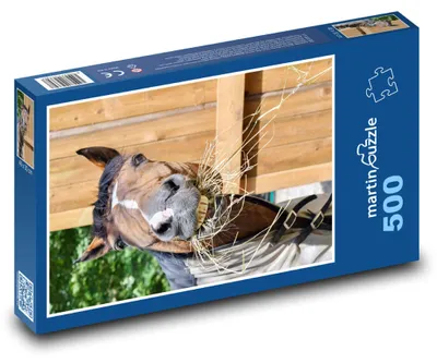 Obrázok produktu pre martinpuzzle - Puzzle 500 - Kôn