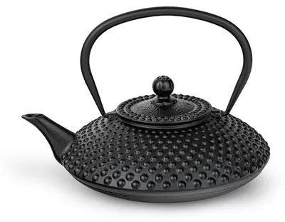 Zdjęcie produktu dla Bredemeijer Teekanne Xilin 1,25l sw 115193 8720052022127