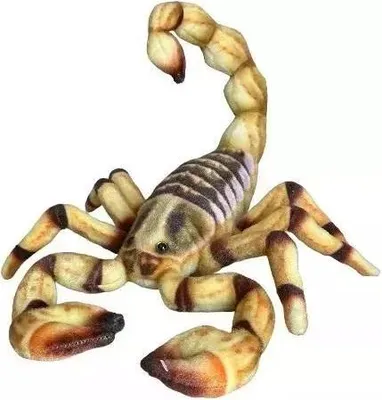 Produktbild von Skorpion figurka dekoracyjna 41 cm