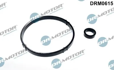 Zdjęcie produktu dla Zestaw Uszczelek Obudowy Filtra Oleju Citroen C2 1,1