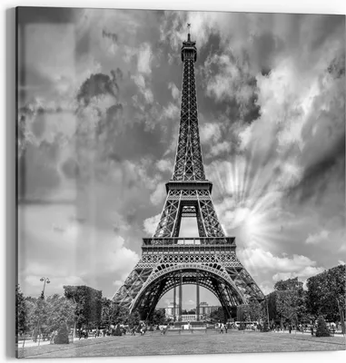 Produktbild von DEQORI Glasbild Echtglas 50x50 cm 'Monochrome Majestät' Wandbild Bild modern Deko