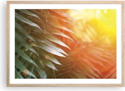 Produktbild von Gerahmtes Poster - Rahmen in heller Eiche - Exotisch Blätter Dämmerung - 70x50 cm - Wand Bild - Wanddeko - Wandbilder - Kunstposter - Wandposter - Bilderrahmen - Bilder - Kunstdruck - P2NAA70x50-4807