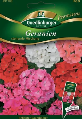 Produktbild von [STREICHUNG 2026] Geranien stehende Mischung | Geraniensamen von Quedlinburger