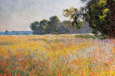 Obrázek produktu pro Claude Monet Art Print Obraz - Ovesné pole s máky, 1890 (80 x 120 cm)