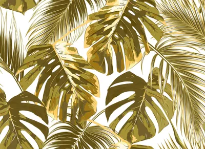 Produktbild von Monstera Tapete in Gold | Urban Jungle Fototapete mit Palmenblättern im Tropical Stil | Moderne Palmen Fototapete ideal